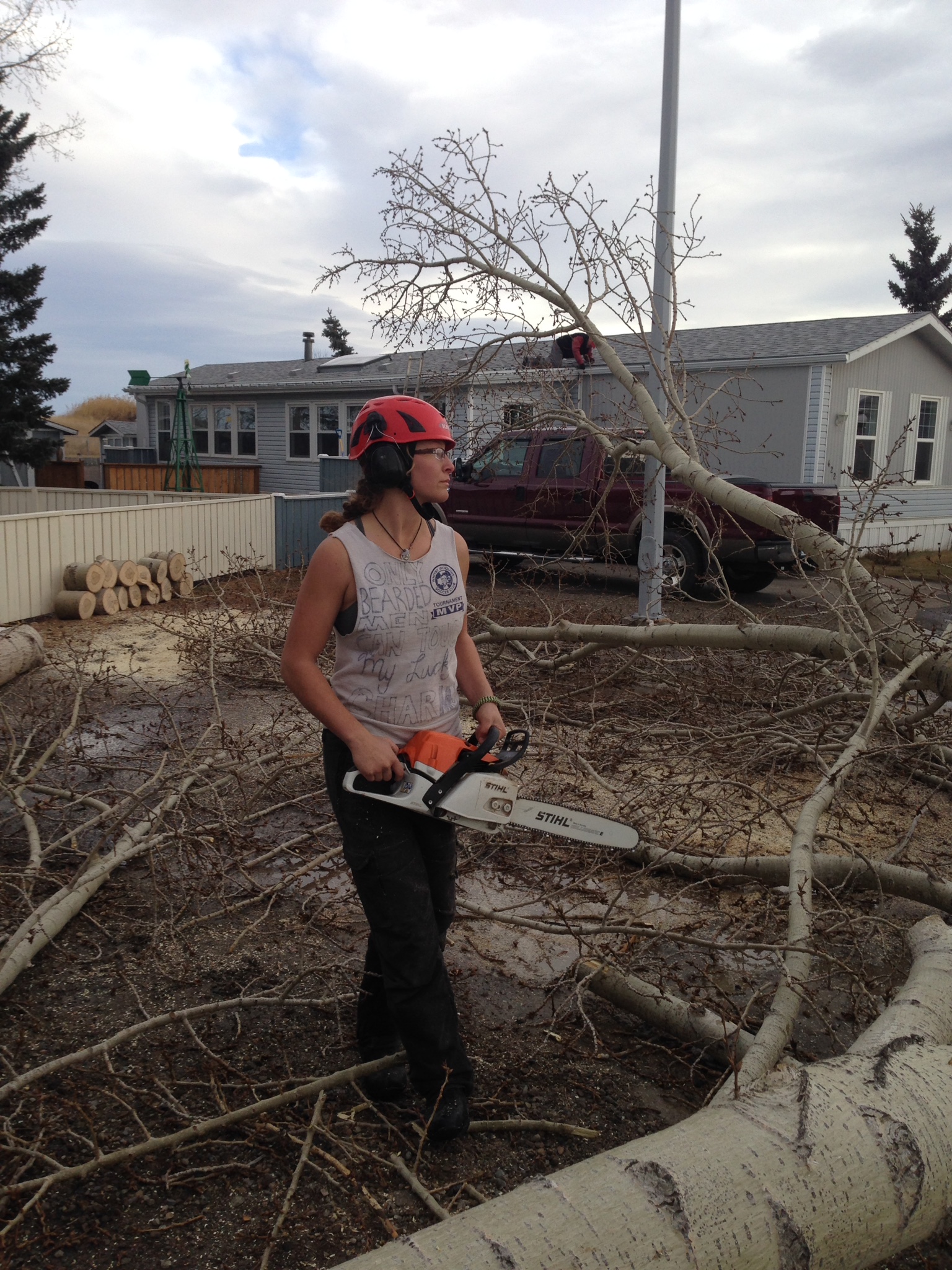 Tree Removal